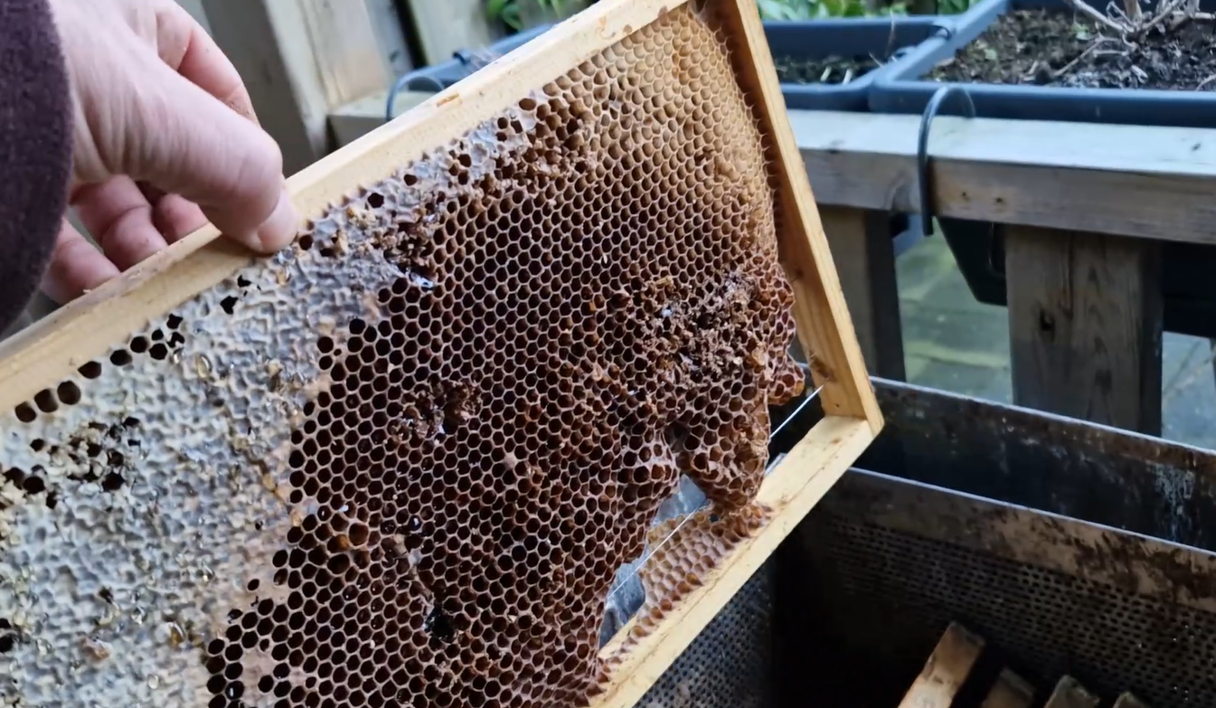 Featured image for “Van vieze bijenwas tot kaars”