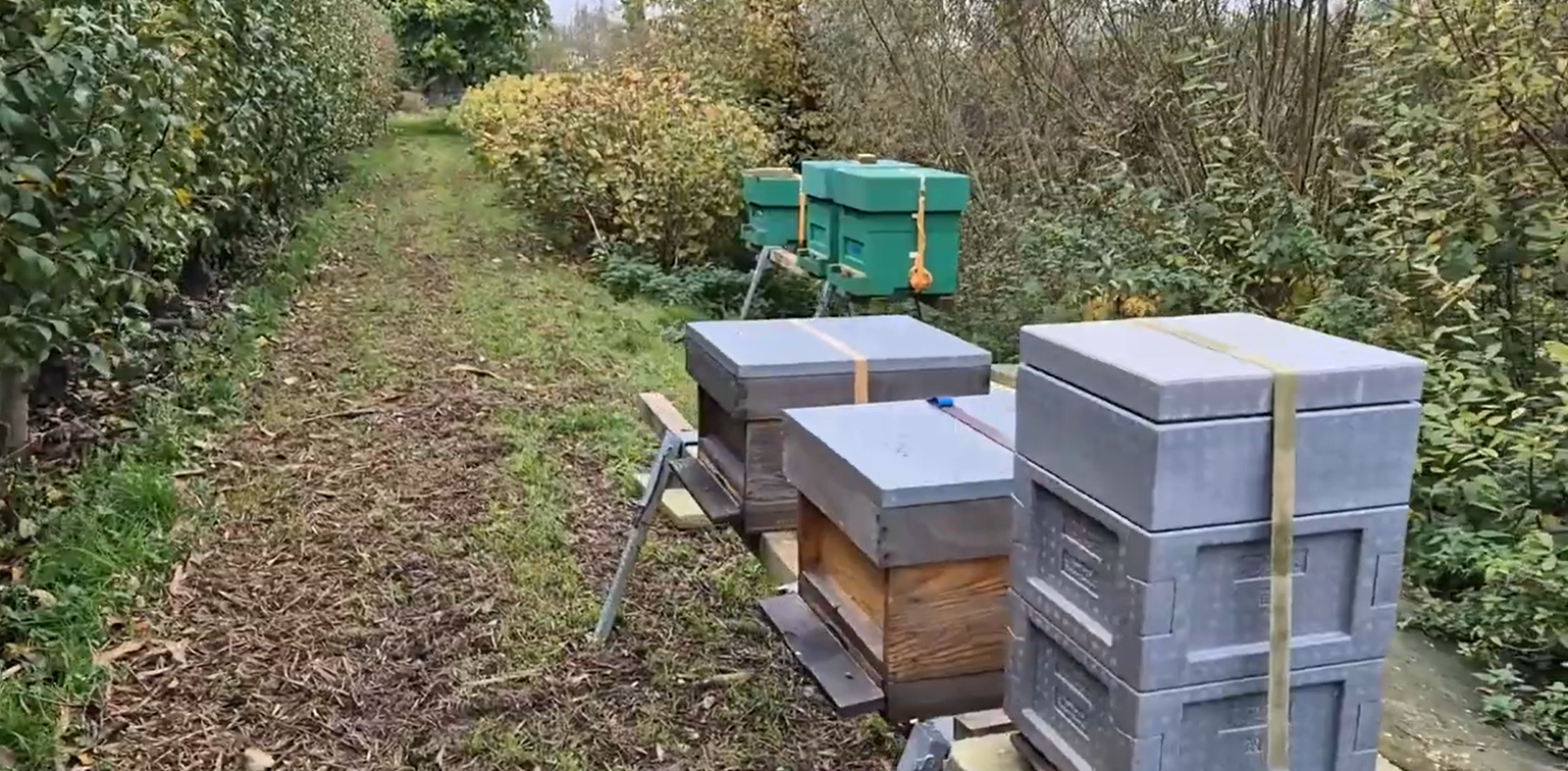 Featured image for “Polystyreen vs houten bijenkasten”